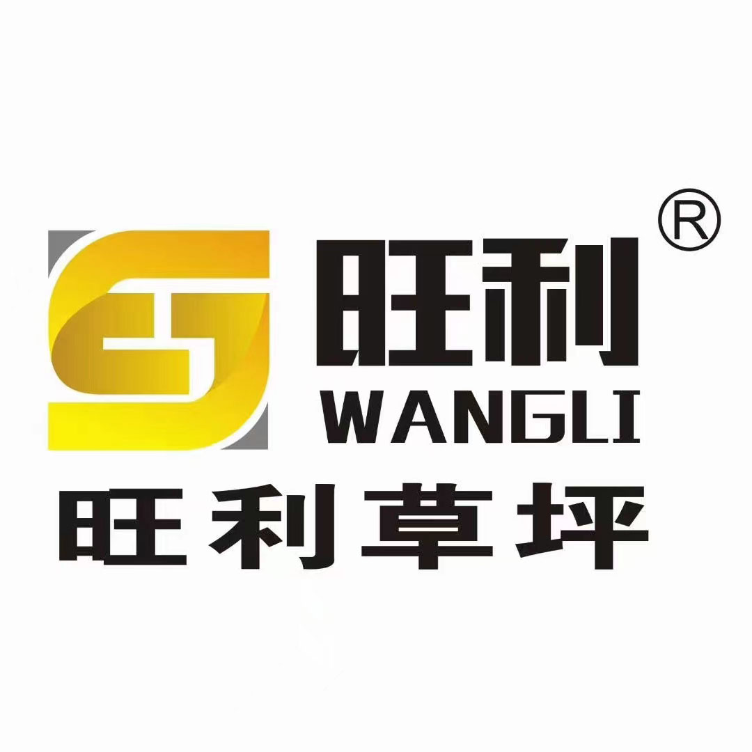 Renqiu Wangli Artificial Turf Co., Ltd.