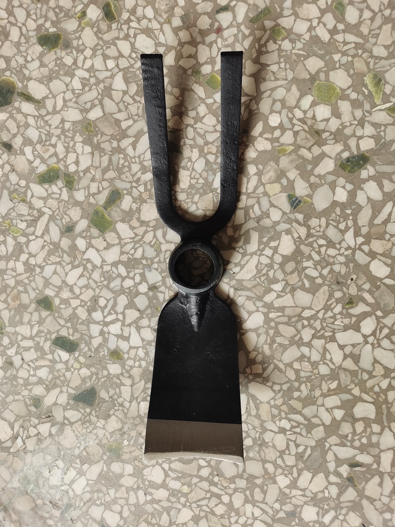 G509