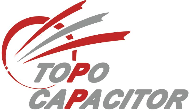 Lishui Toppur Electronic Co., Ltd.