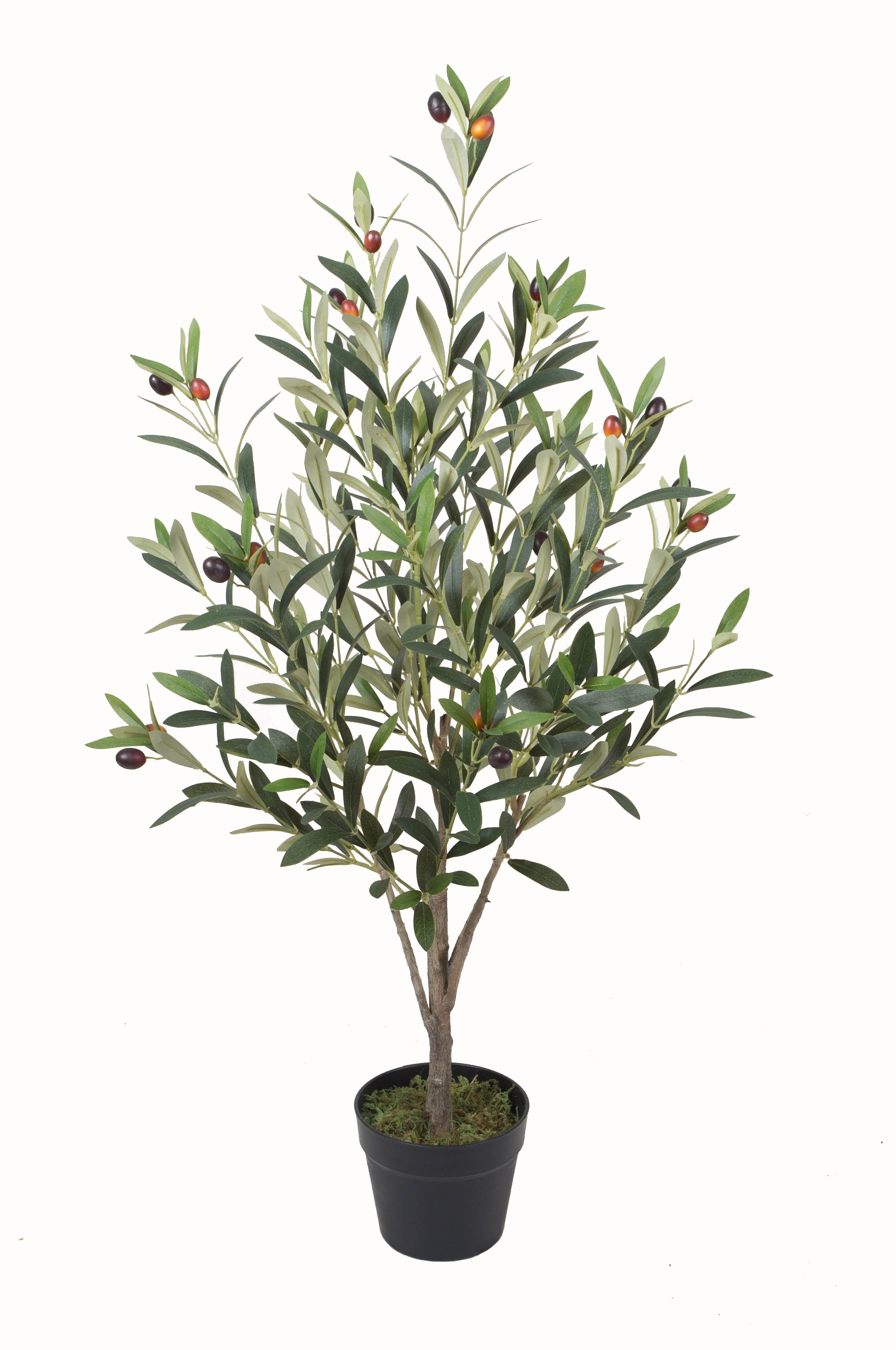 100CM Olive Tree w/pot