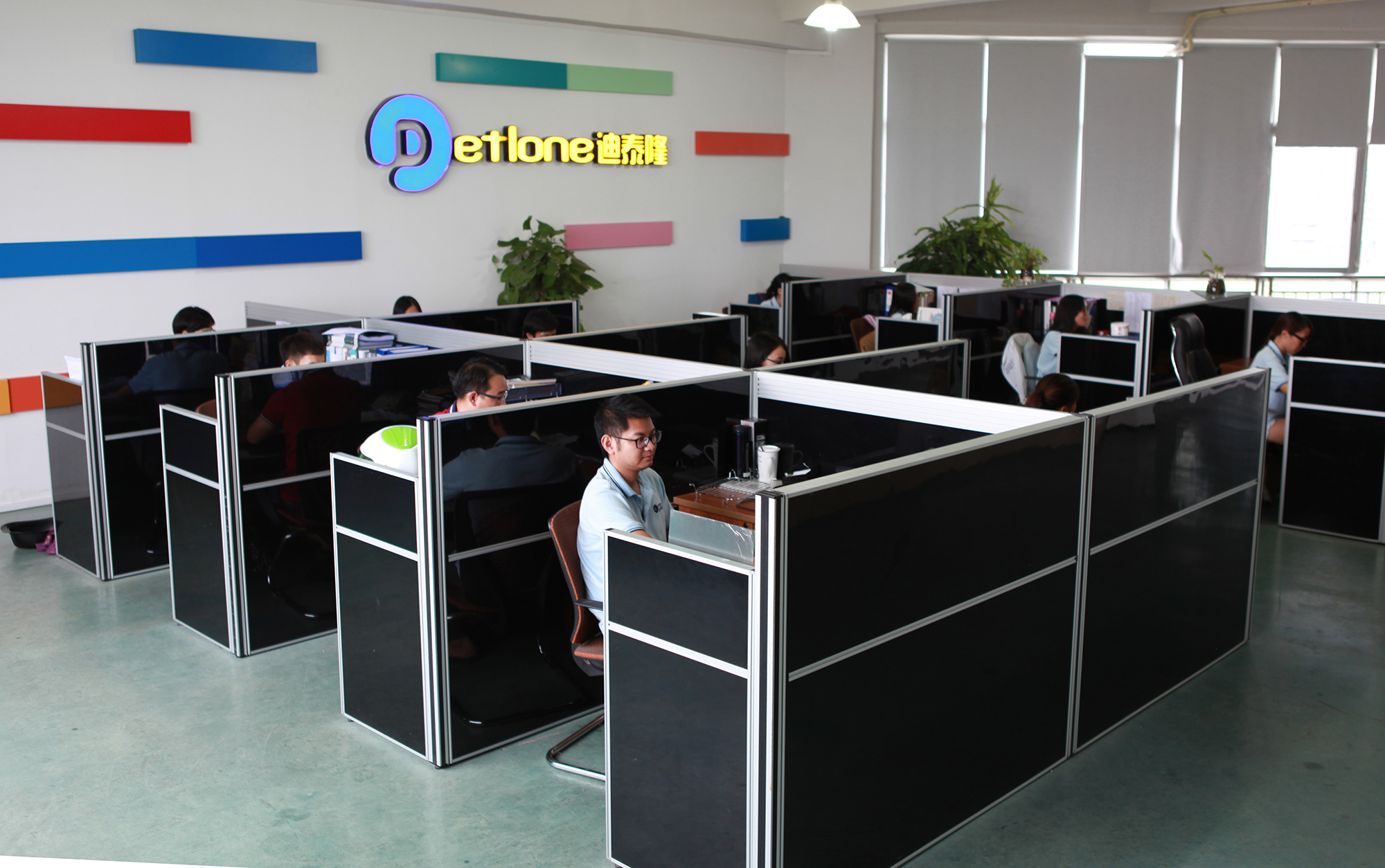 Foshan Shunde District Ditailong Magnetic and Electrical Industrial Co., Ltd. – other kitchen appliances 2