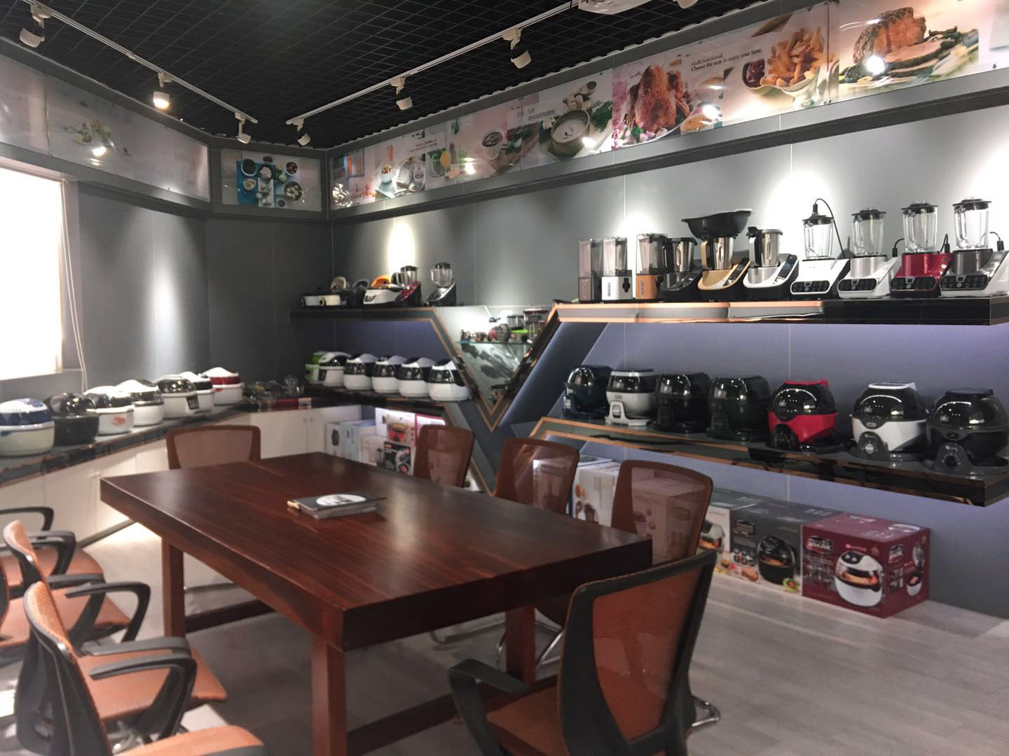 Foshan Shunde District Ditailong Magnetic and Electrical Industrial Co., Ltd. – juicers 3