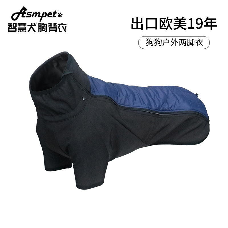 Asmpet contrasted color outdoor winter coat