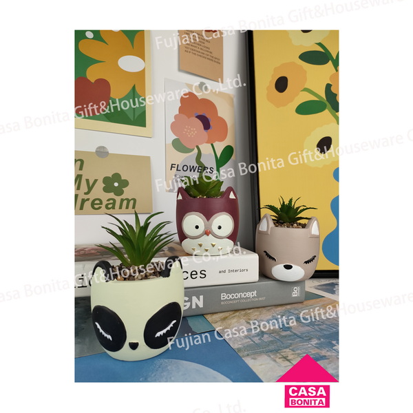 Cute, cartoon, succulents, concrete POTS,