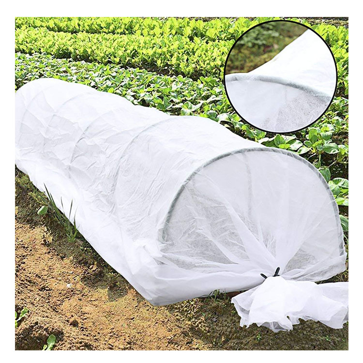 Guangzhou jinsheng huihuang nonwoven fabric industrial co.,ltd – vestido de noche 3