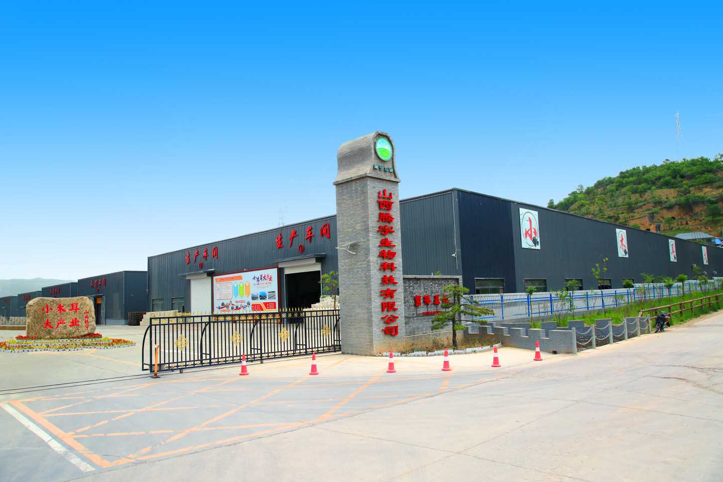 Shanxi Tengyu Biotechnology Co., Ltd. – Other edible fungi 1