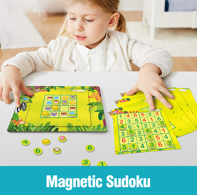 Magnetic Sudoku