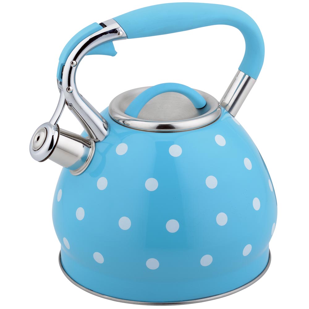 3.0L dot painting stainless steel whistling kettle