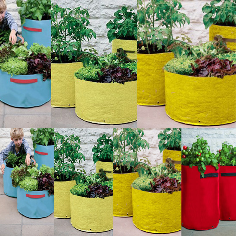 Potatoes, strawberries, vegetables, tomatos planting bags, growing bags