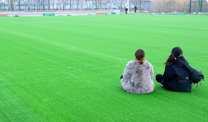35 mm Artificial Grass
