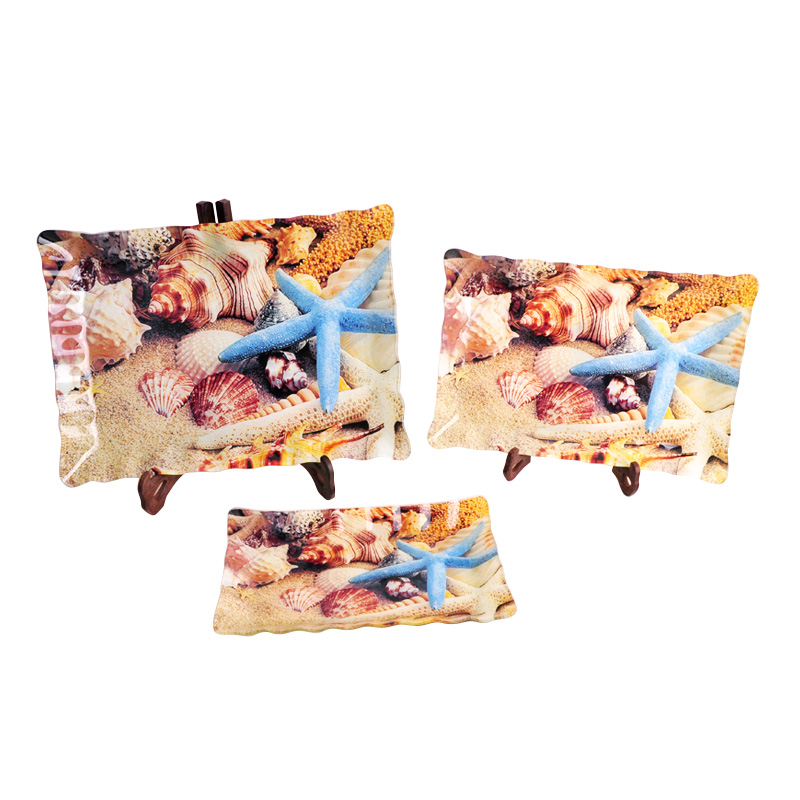 glass plate