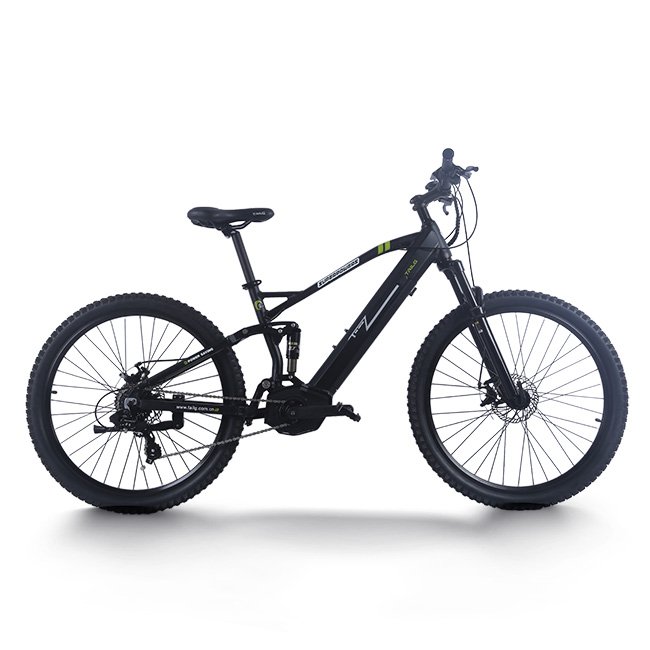 DONGGUAN TAILG TRADING CO., LTD – Electric Mountain Bike 3