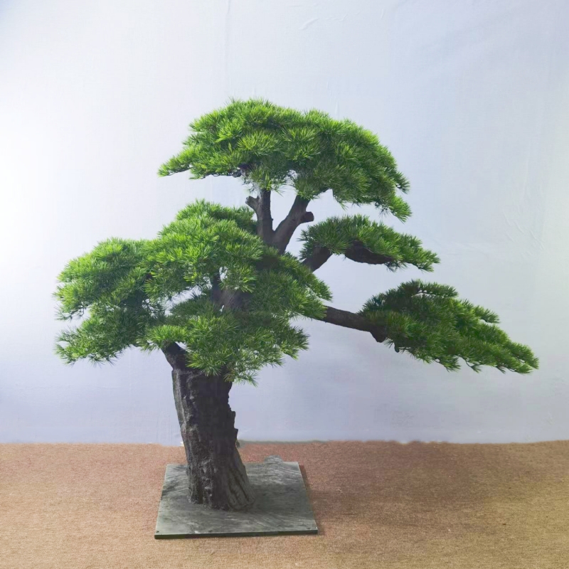 Shenzhen Wangkang Yi Daily Products Co., Ltd.