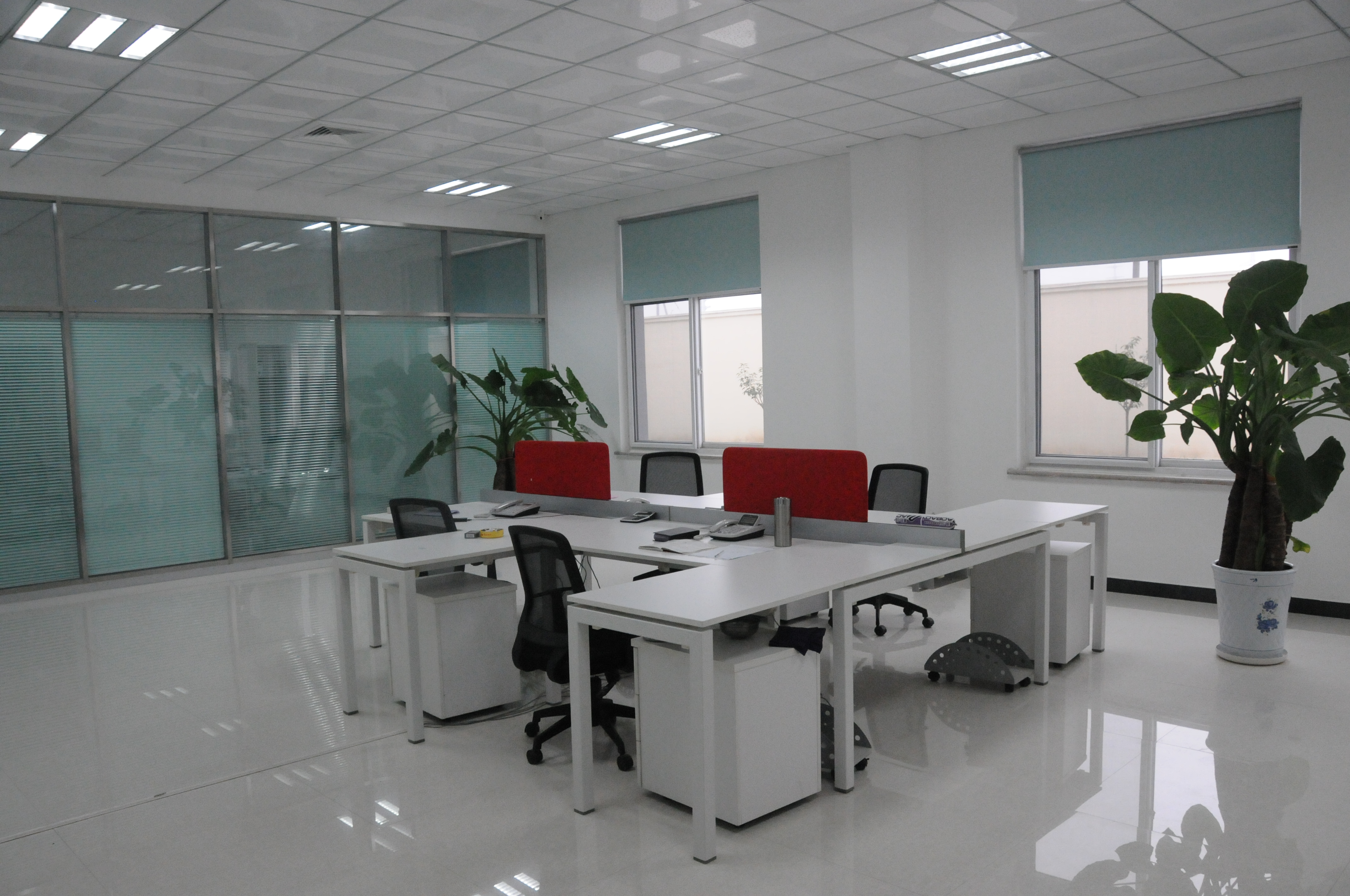 Hebei Ernest Import and Export Trading Co., Ltd. – pet food processing machinery 1