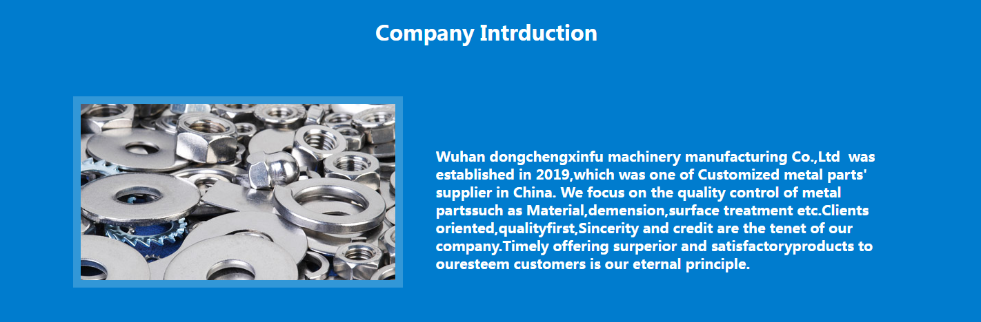 Wuhan Dongcheng Xinfu Machinery Manufacturing Co., Ltd. – motor eléctrico 1