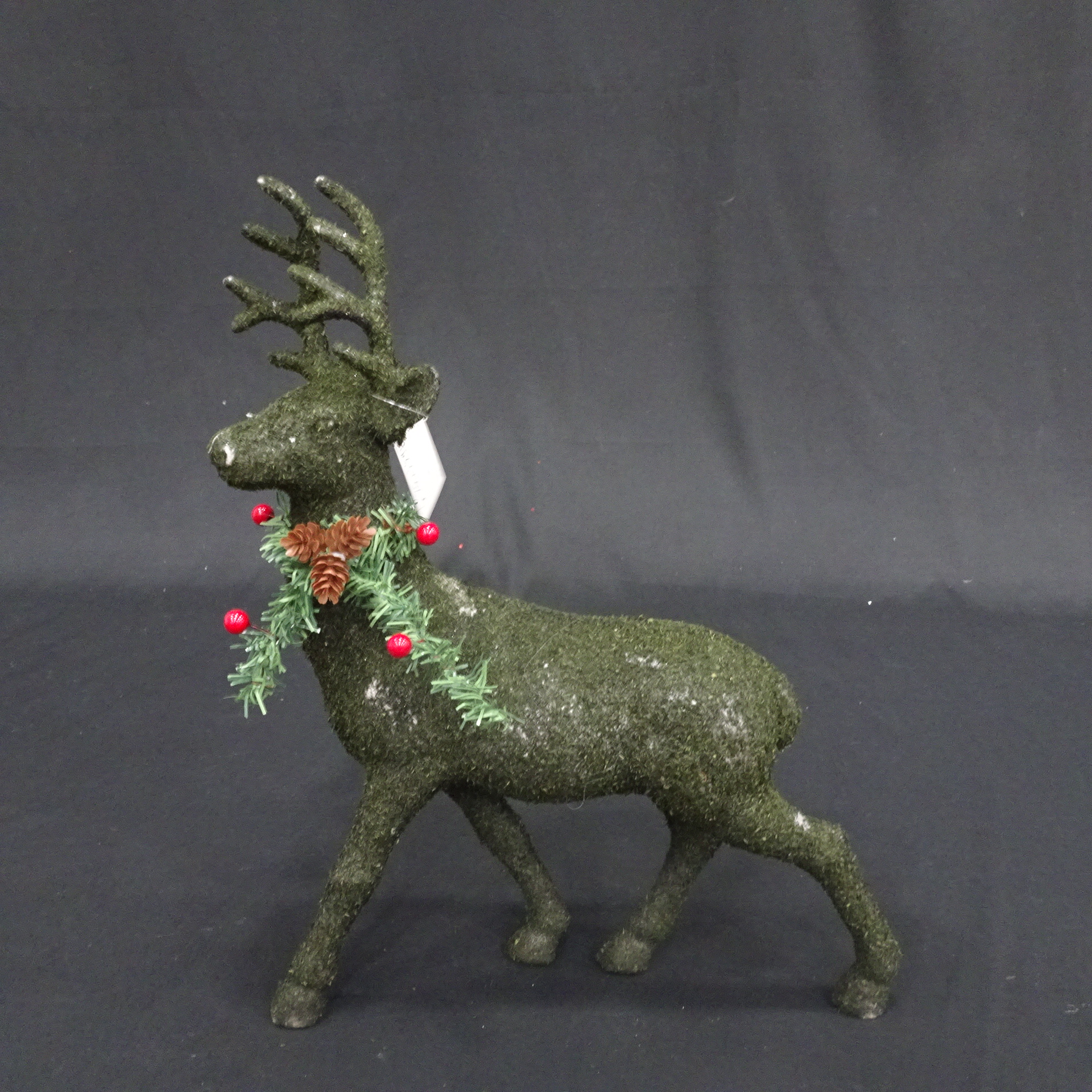 Deer