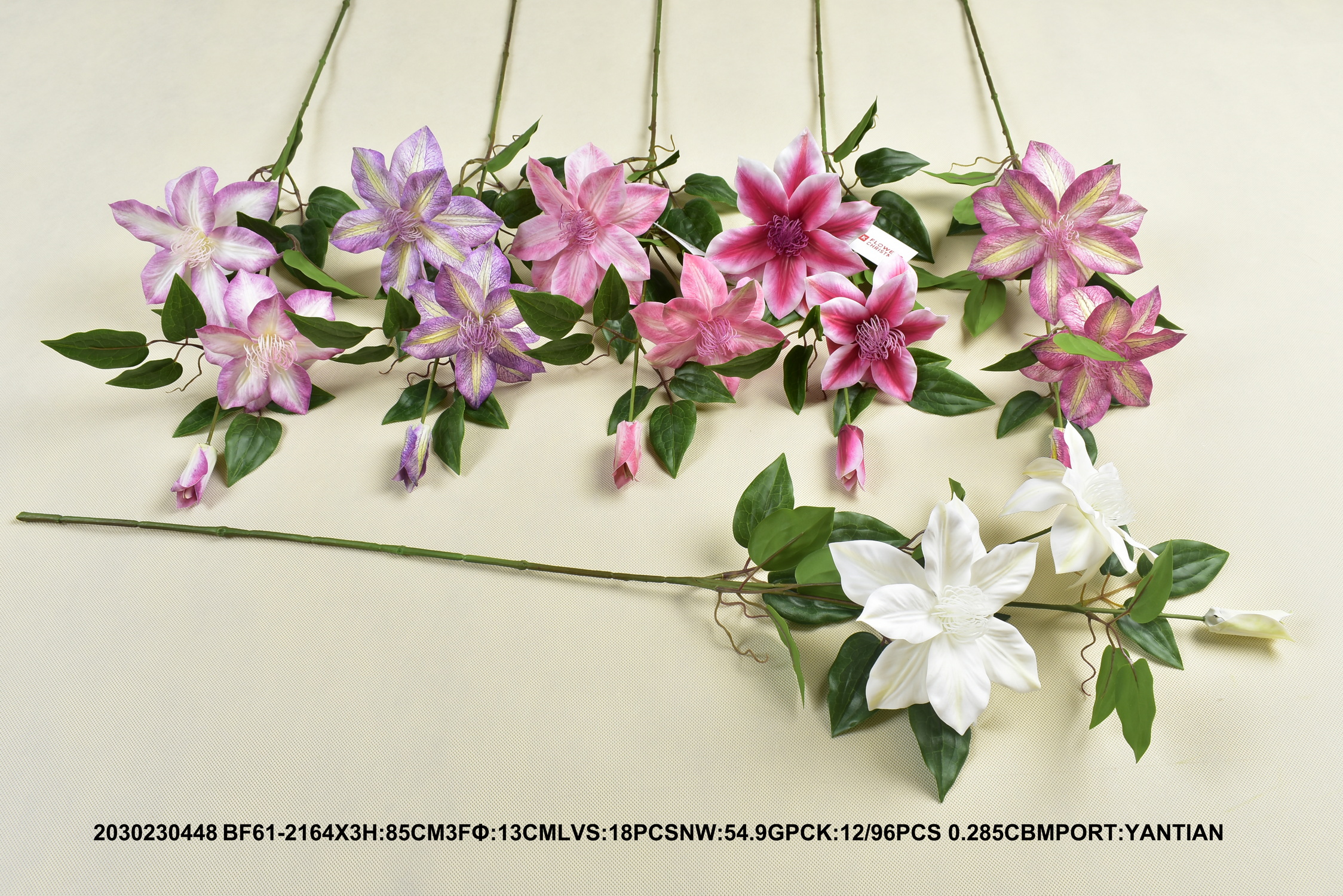 Clematis