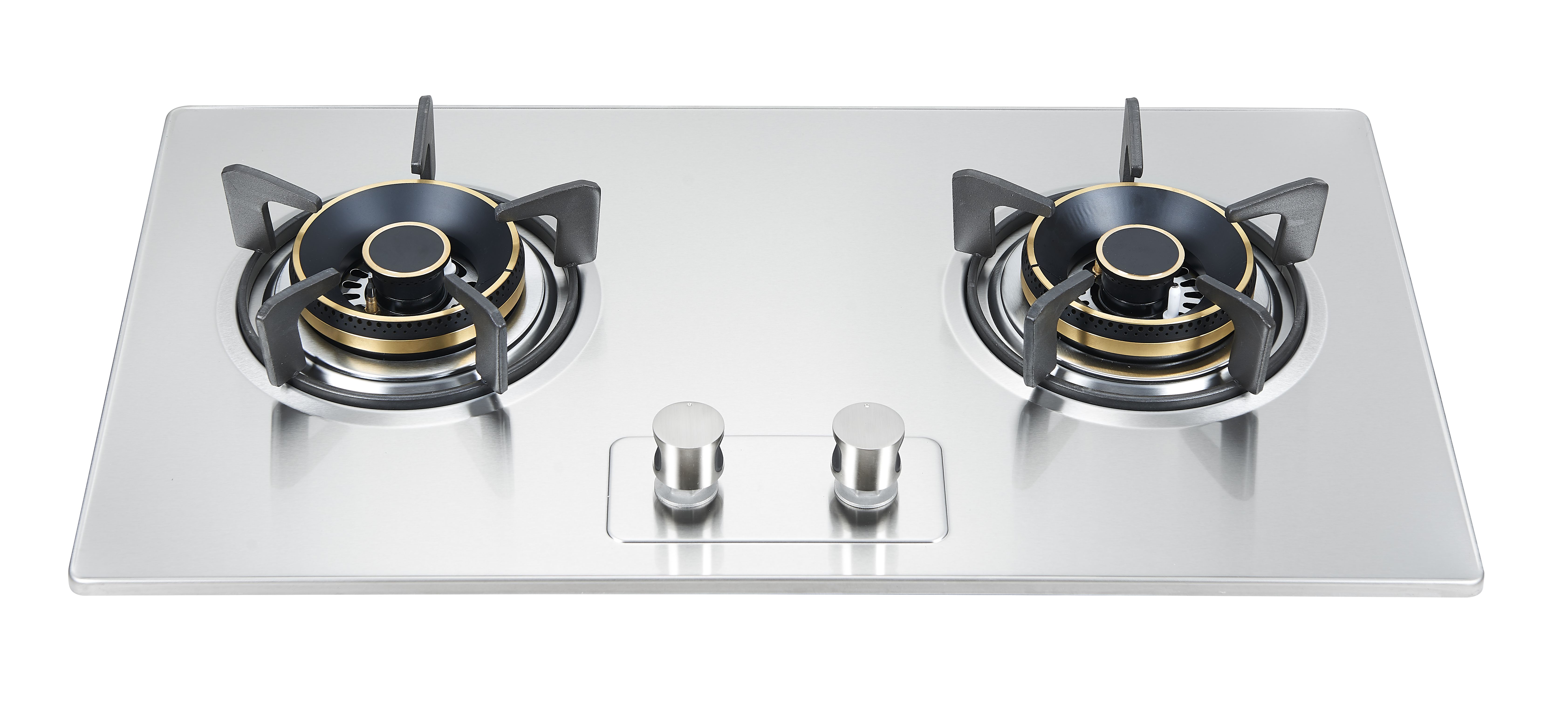 Built in stainless steel gas stove