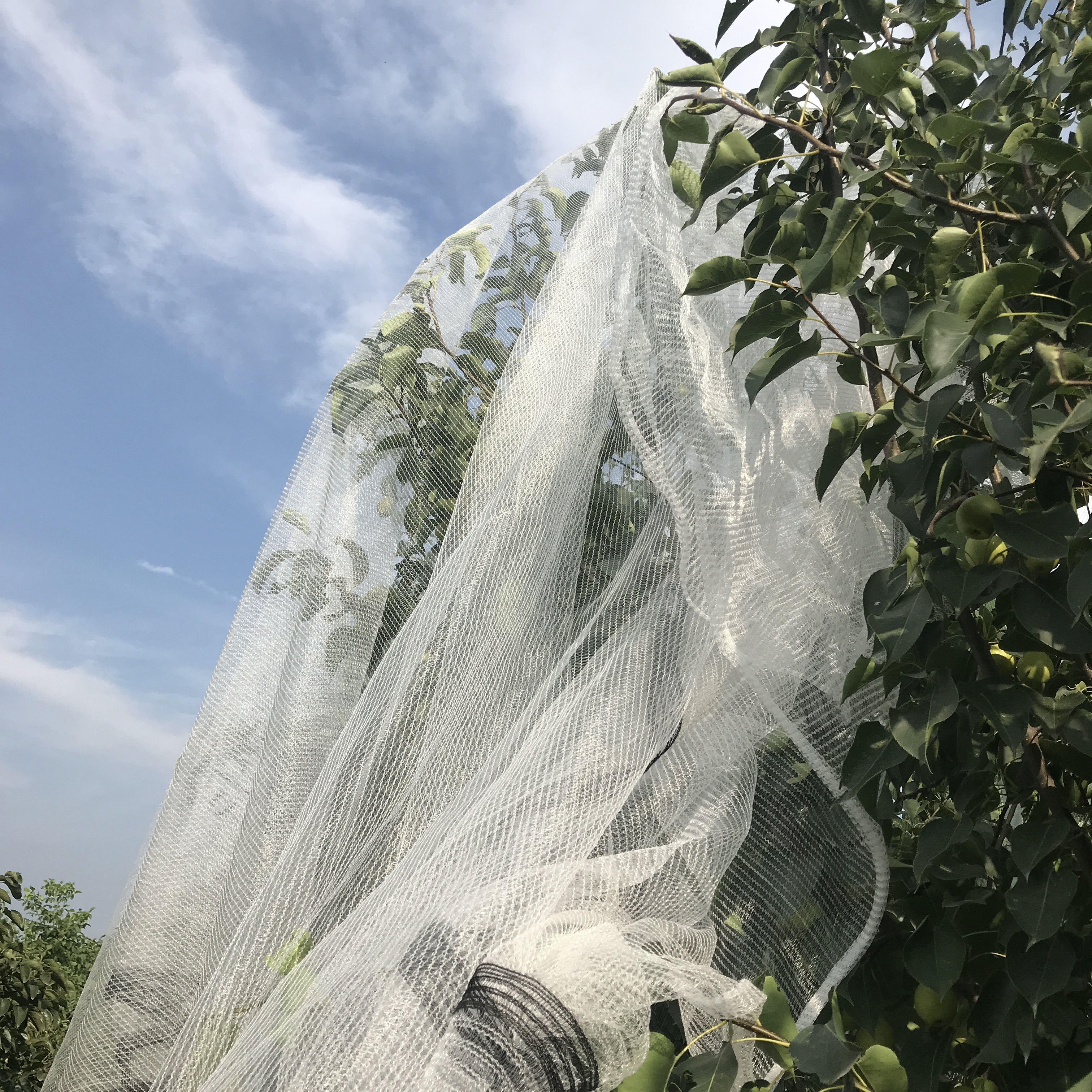 Henan Santai Plastic Products Co., Ltd. – Product photos 2