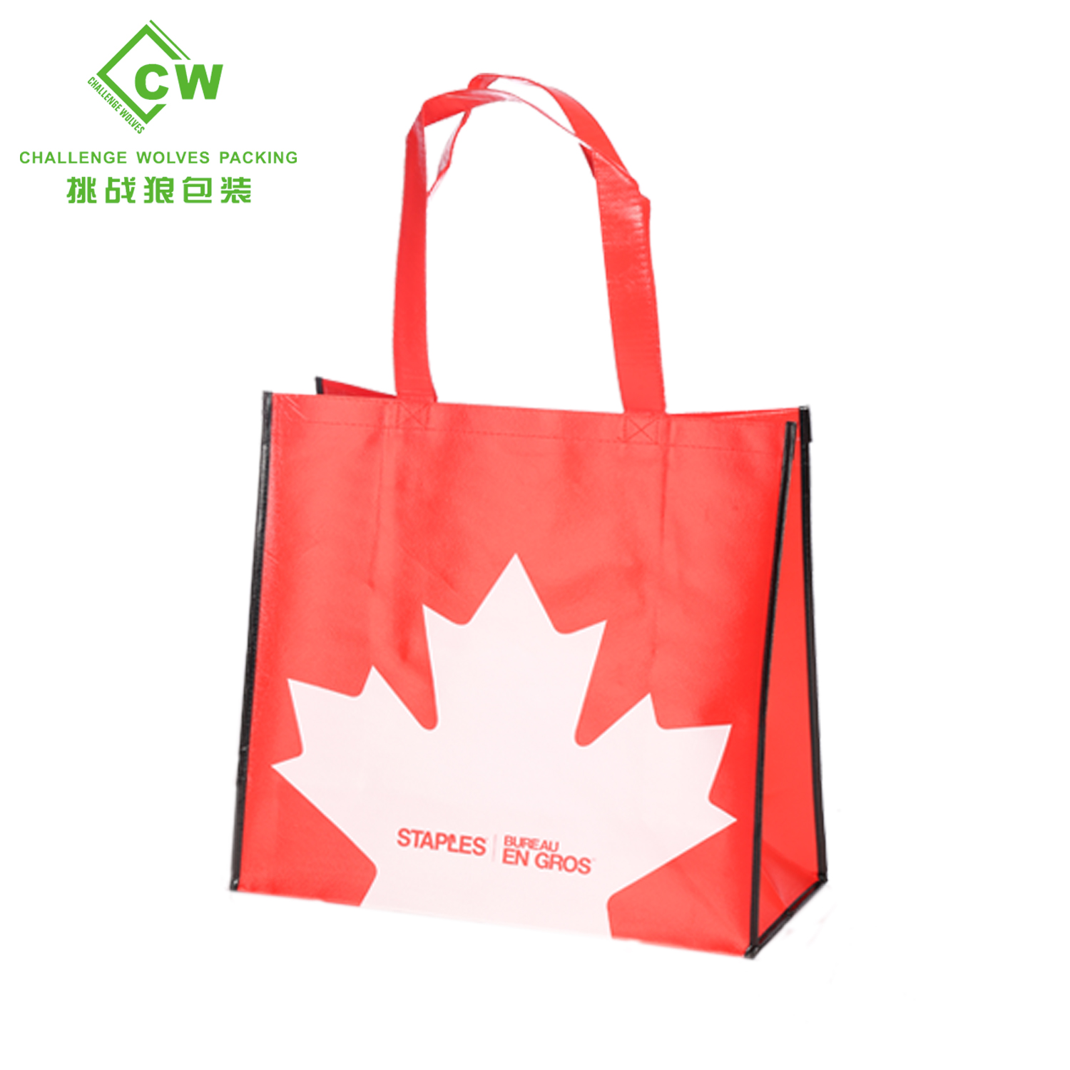 Non Woven Shopping Bag