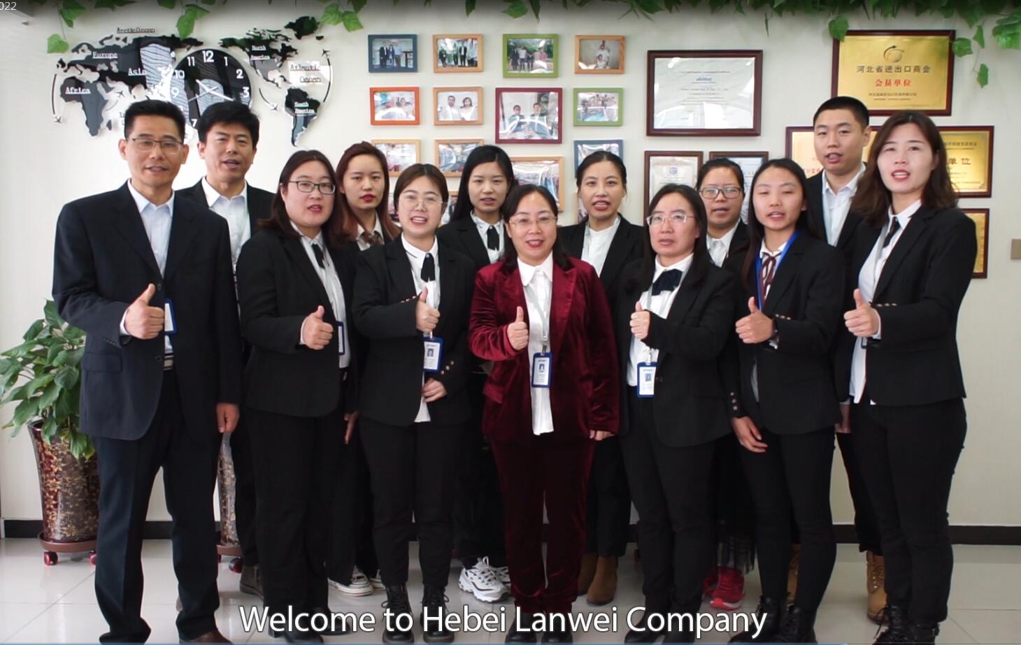 Hebei Wanyang Medical Technology Co., Ltd. – champú de cabello 1