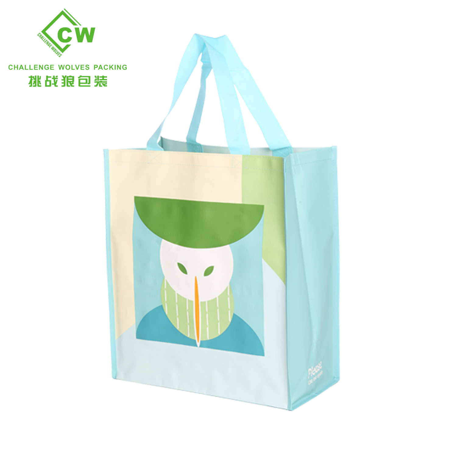 Shopping Bag