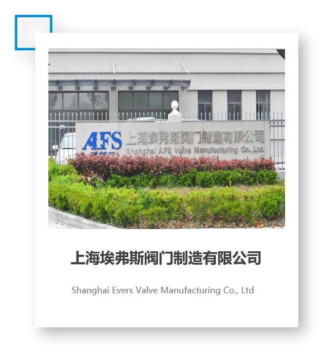 Shanghai Everest Valve Manufacturing Co., Ltd. – Other valves 1