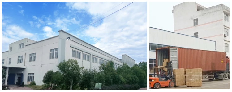 Guangdong Xingtong Import and Export Co., Ltd. – Other kitchen appliances 1