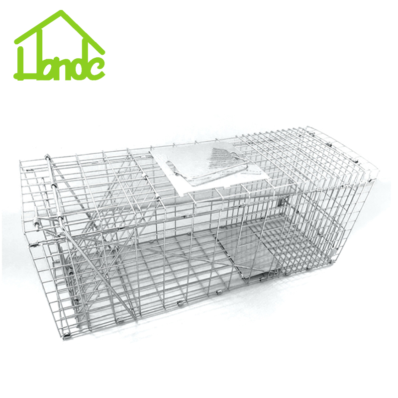 Live Animal Trap