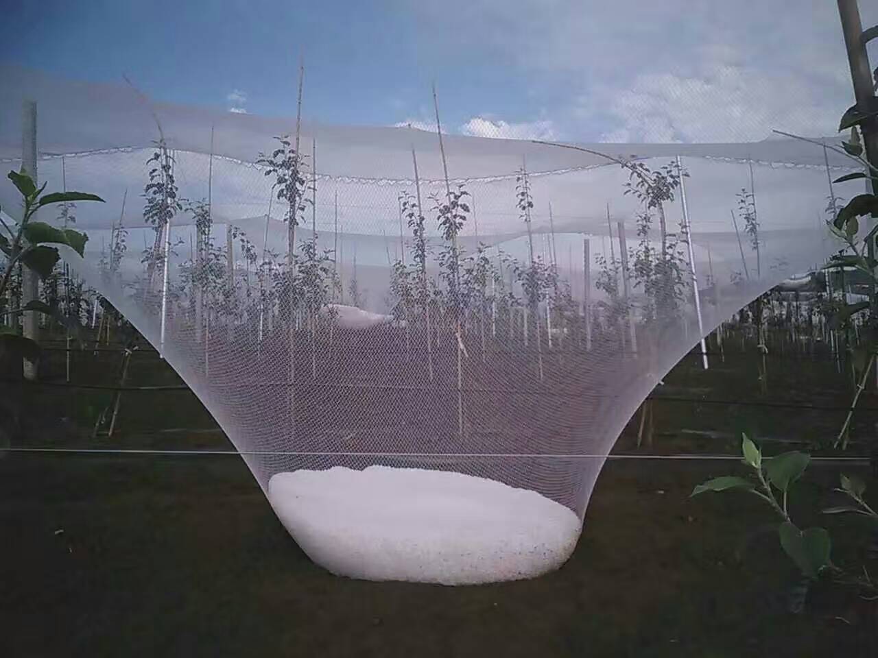 anti hail net