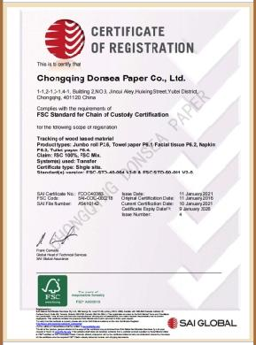 Chongqing Dongshi Paper Co., Ltd. – maceta de cerámica 1