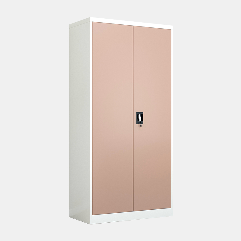 2 swing door steel locker
