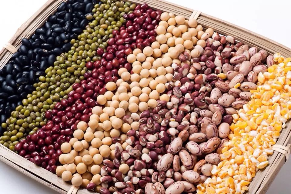 Shijiazhuang Shengjie Cheng Import and Export Trading Co., Ltd. – green beans 2