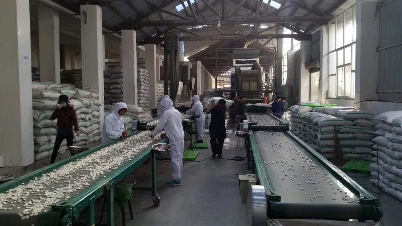 Shijiazhuang Shengjie Cheng Import and Export Trading Co., Ltd. – Mung beans 1