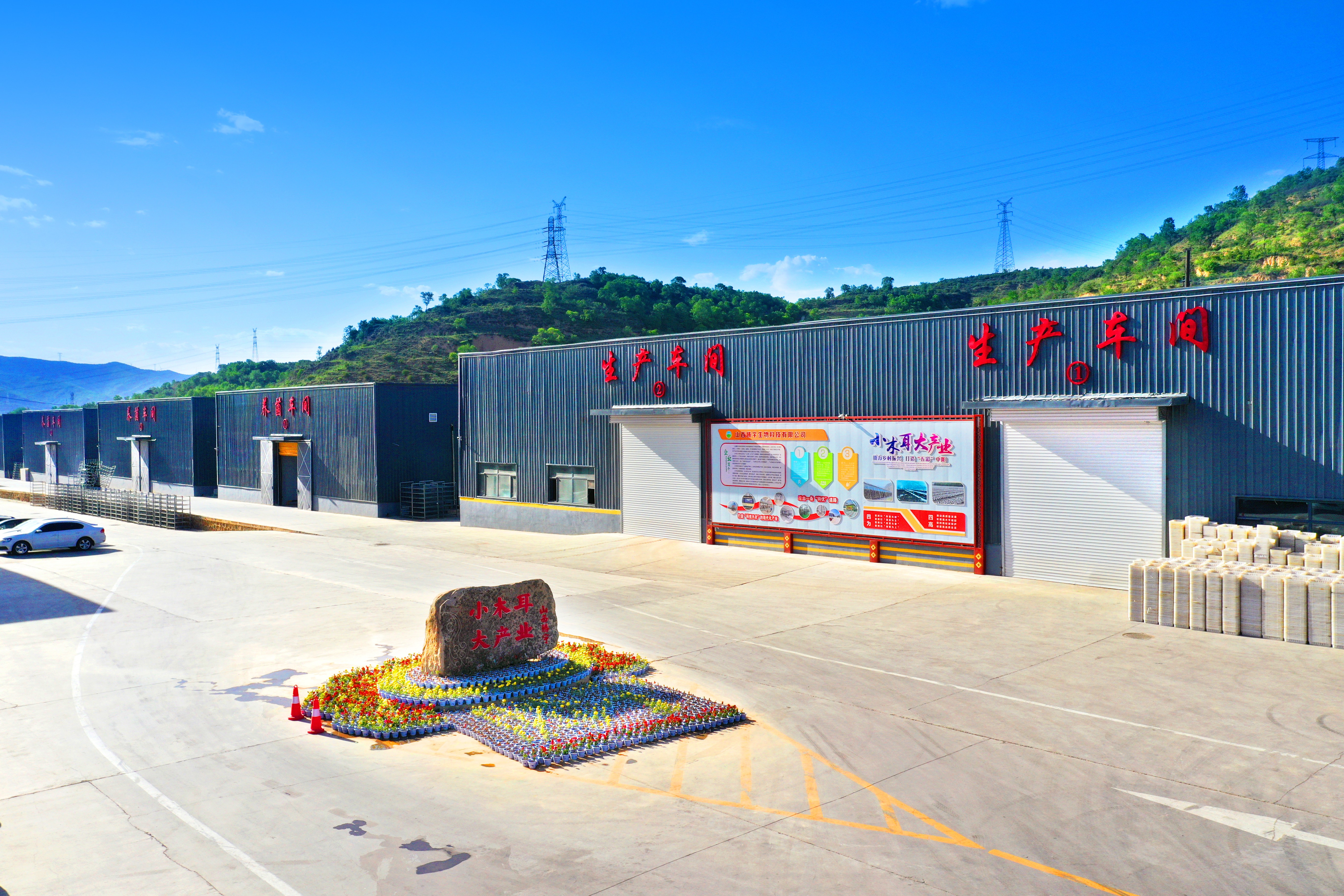 Shanxi Tengyu Biotechnology Co., Ltd. – Photos produits 2