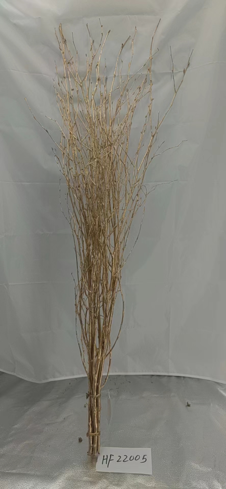 Willow birch branch Natural decoration products HF22005