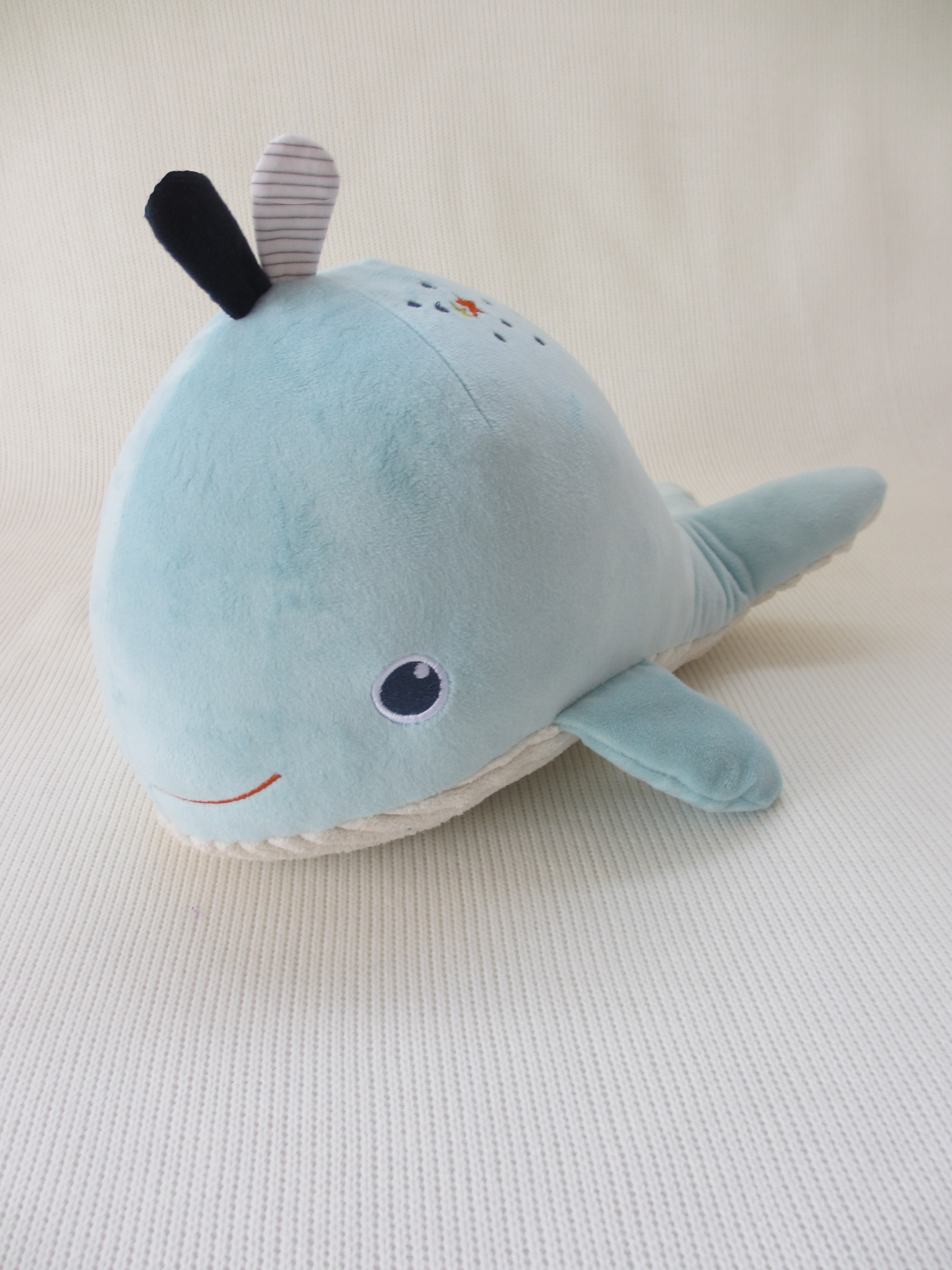 Whale