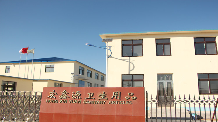Dalian Hongxinyuan Hygiene Products Co., Ltd. – Other household items 1