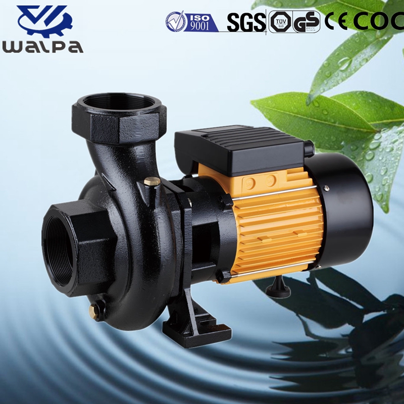 WALPA Centrifugal Pump for Irrigation and instrial using