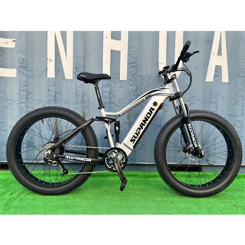 electric muntain bike customzation factory 500w motor