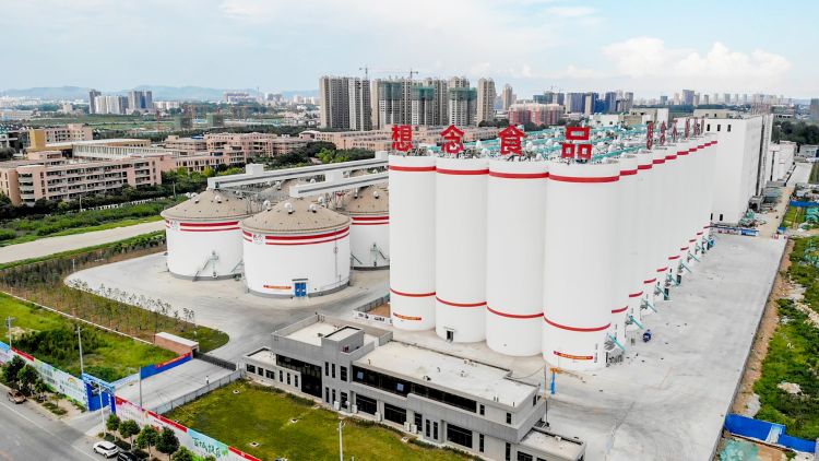 Zhenping Xiang Nian Food Co., Ltd. – 面条 1