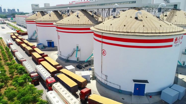 Zhenping Xiang Nian Food Co., Ltd. – Photos produits 3