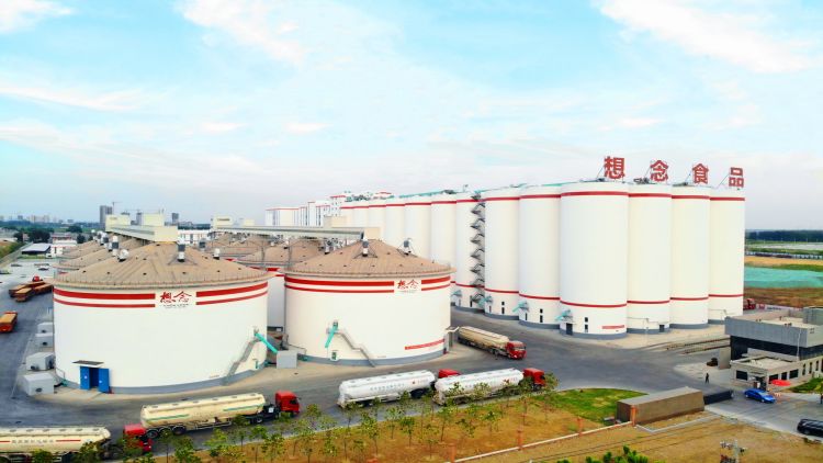Zhenping Xiang Nian Food Co., Ltd. – Photos produits 2