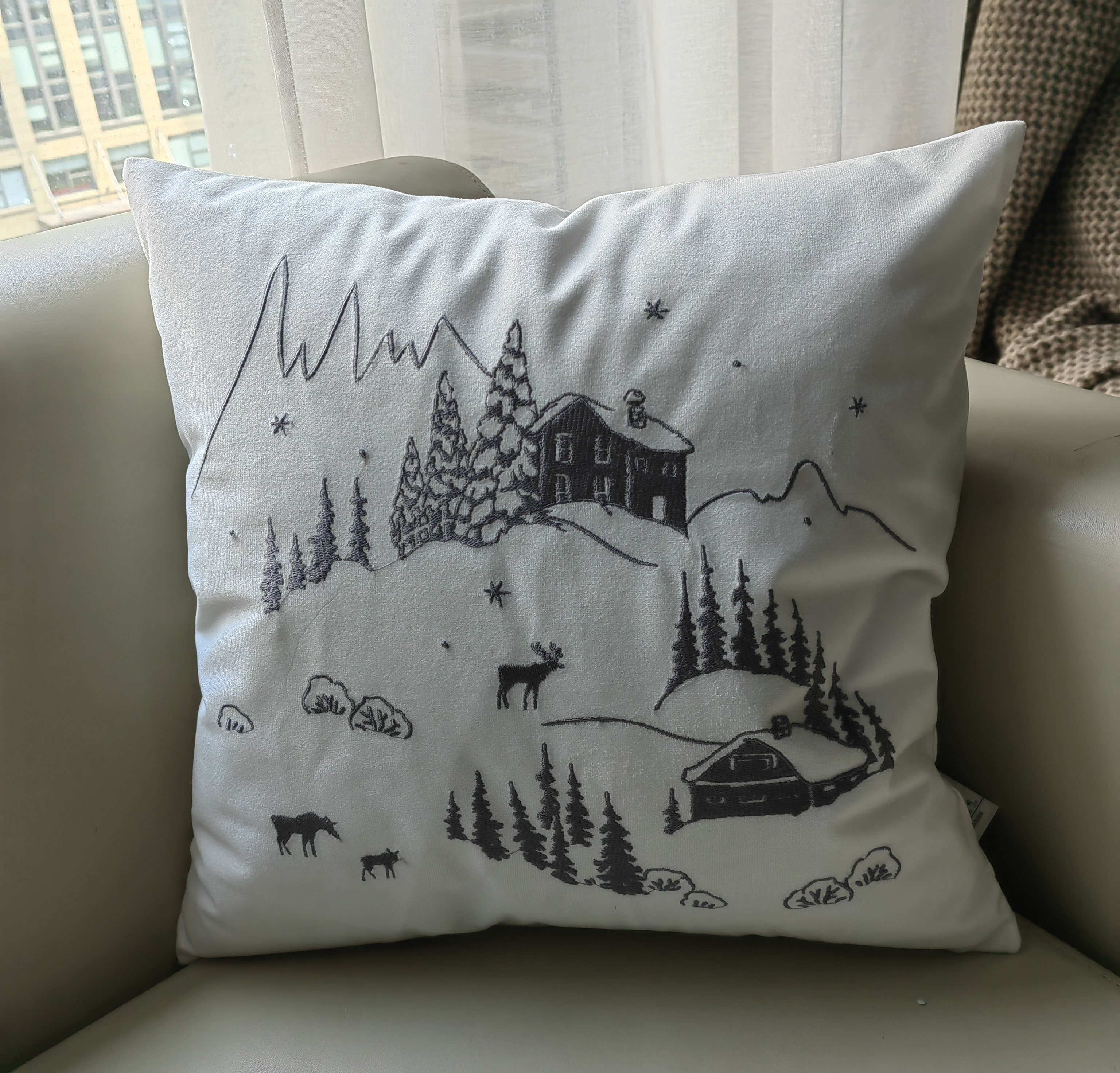 embroidery cushion/cushion cover