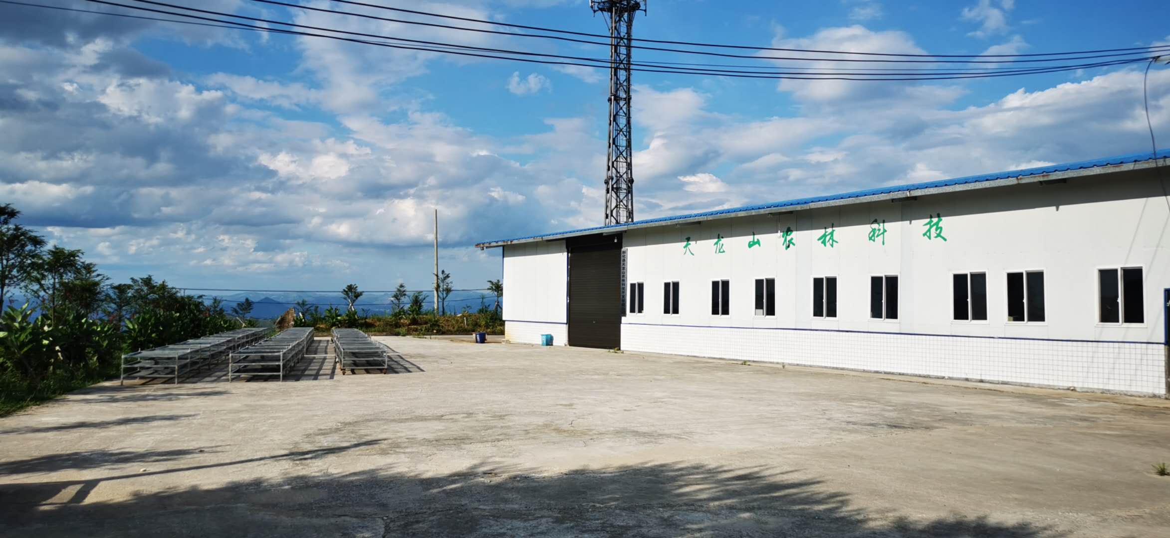 Xinhua County Tianlong Mountain Agriculture and Forestry Science and Technology Development Co., Ltd. – Other food 1