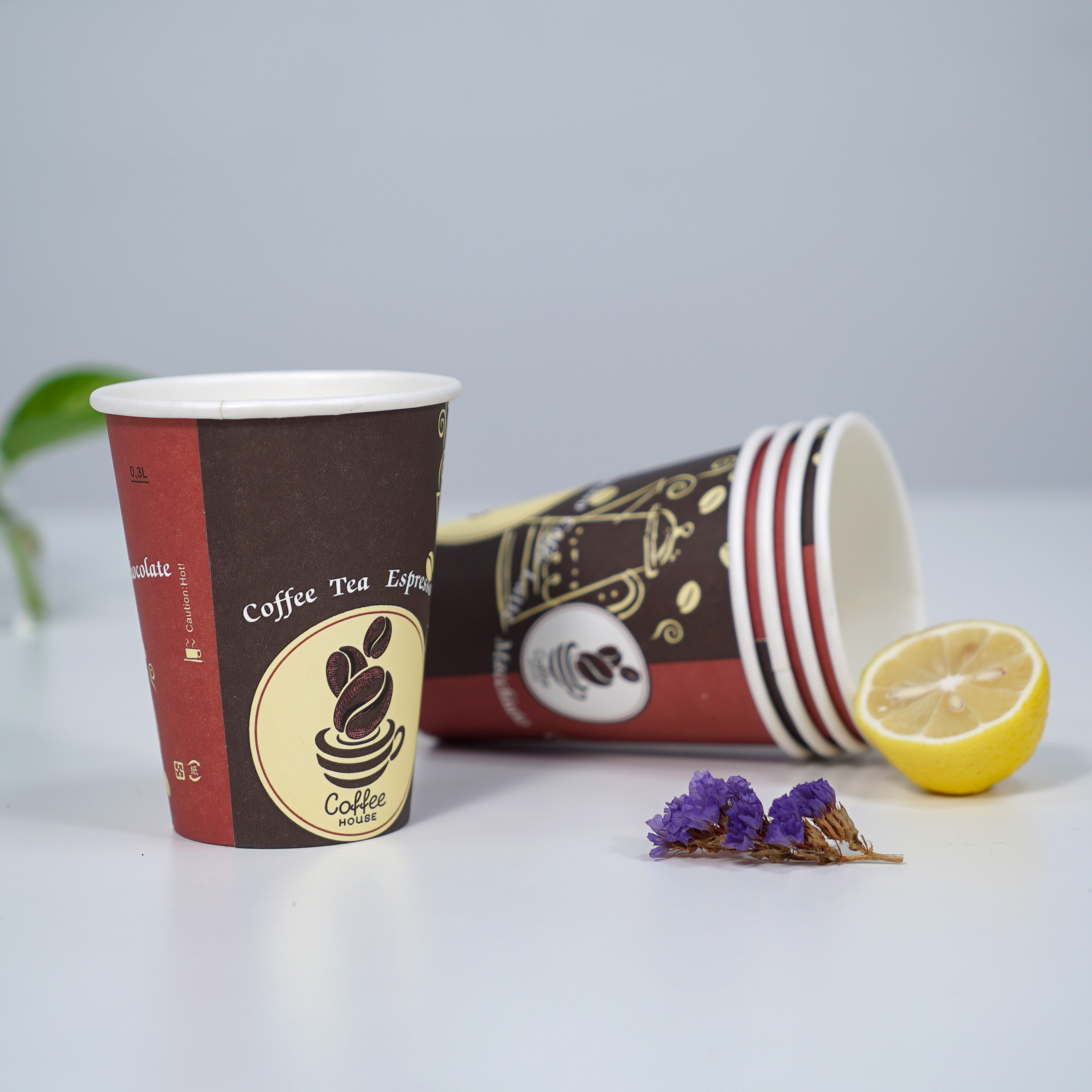 Disposable Single Wall Paper Cup Coffee Cup