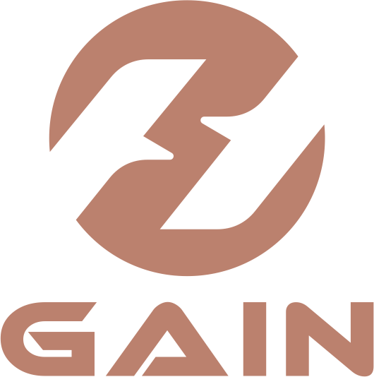 Hefei Gain Import and Export Co., Ltd.