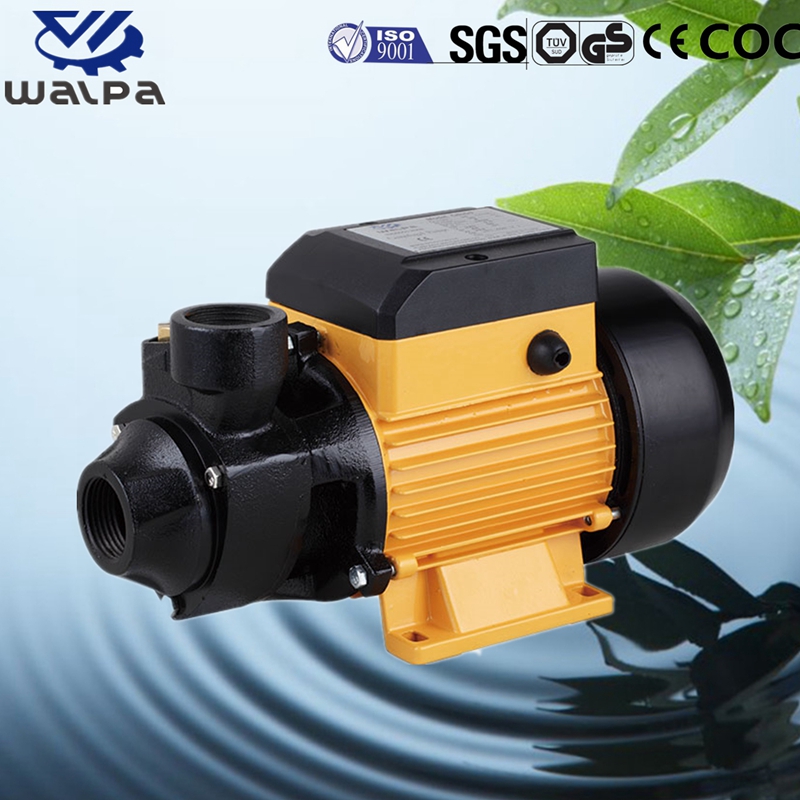 WALPA Peripheral Pump