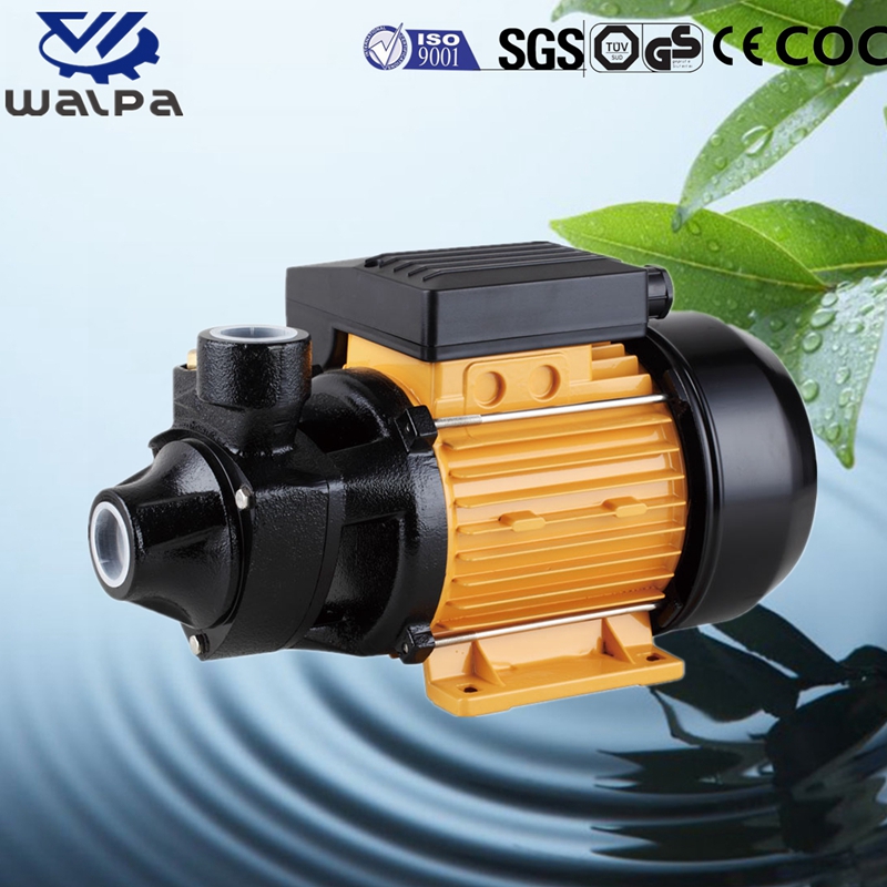 WALPA Peripheral Pump