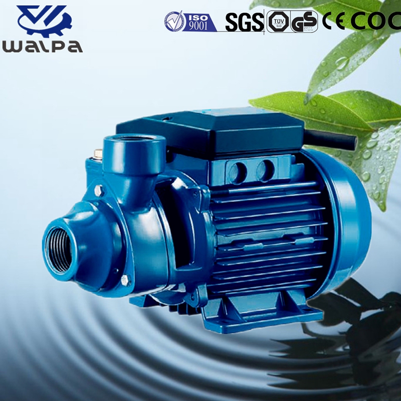 WALPA Peripheral Pump
